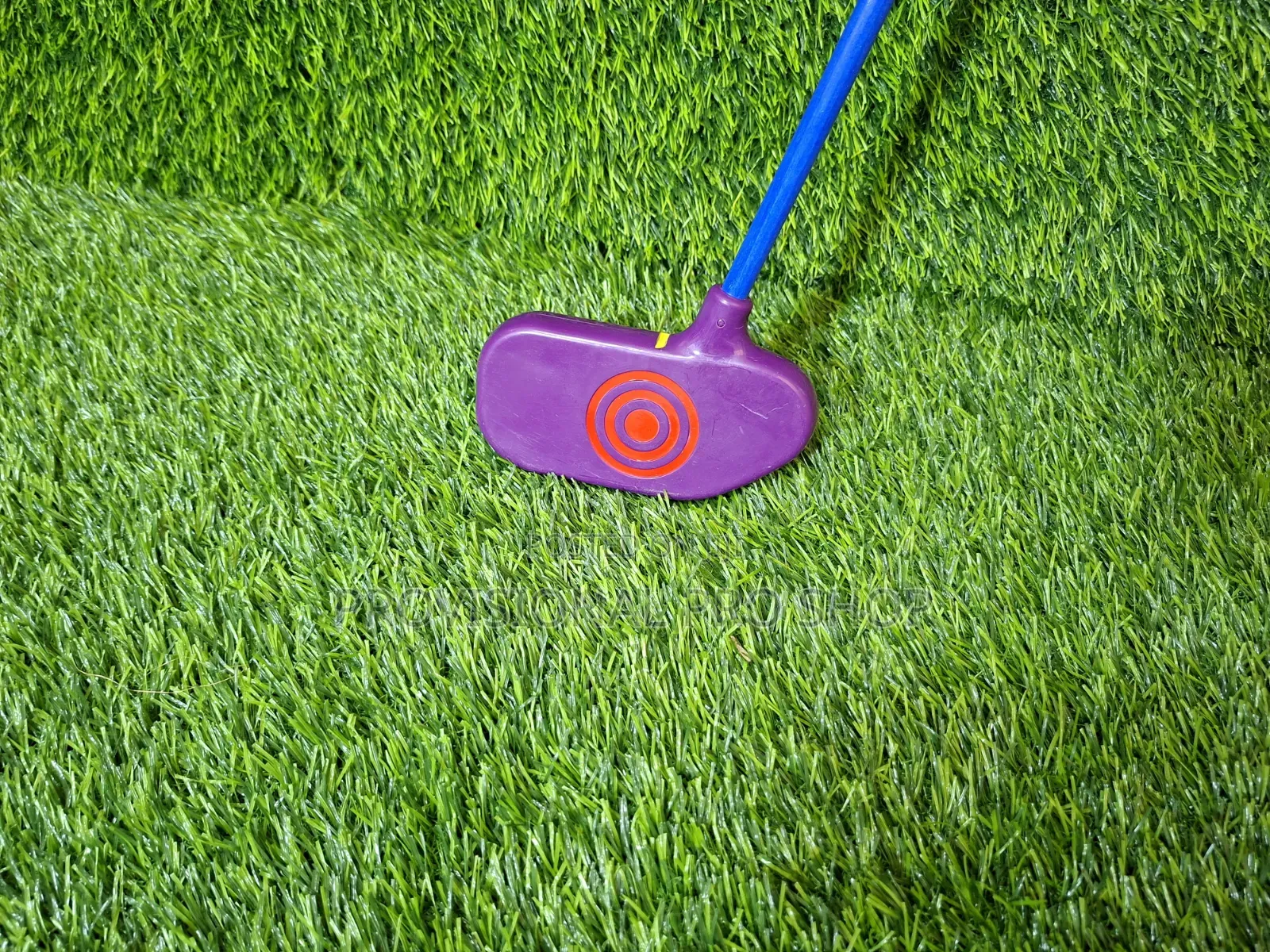 Junior Snag Roller