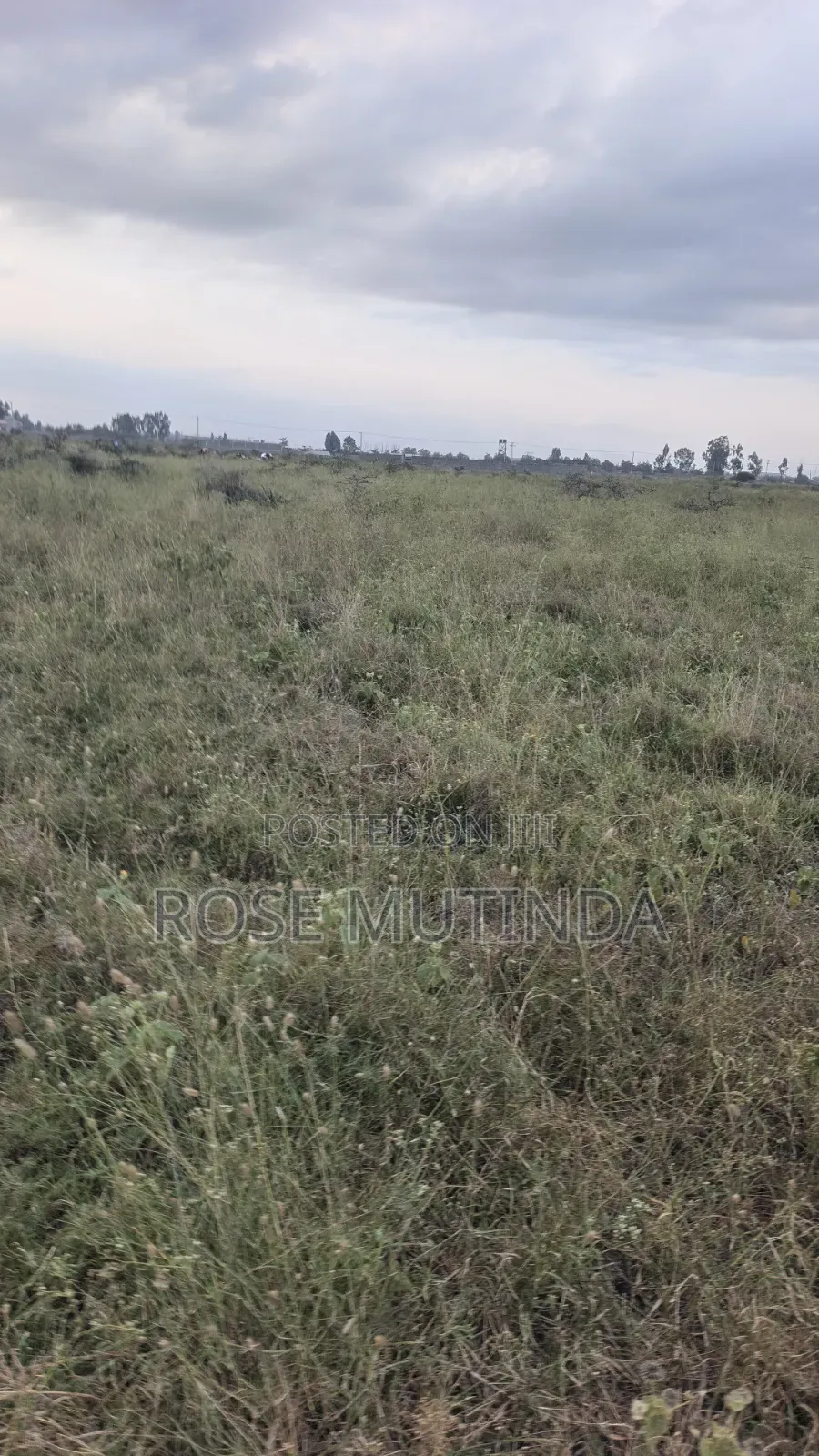 10acres at Sabaki