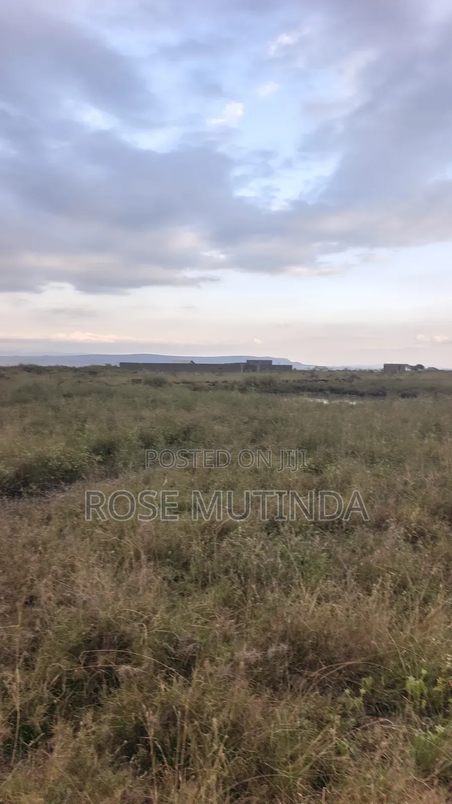 10acres at Sabaki