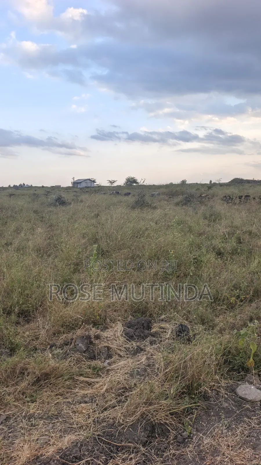 10acres at Sabaki