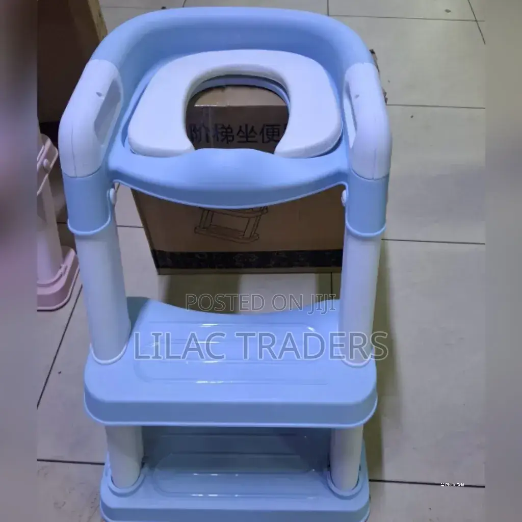 Blue Toilet Ladder