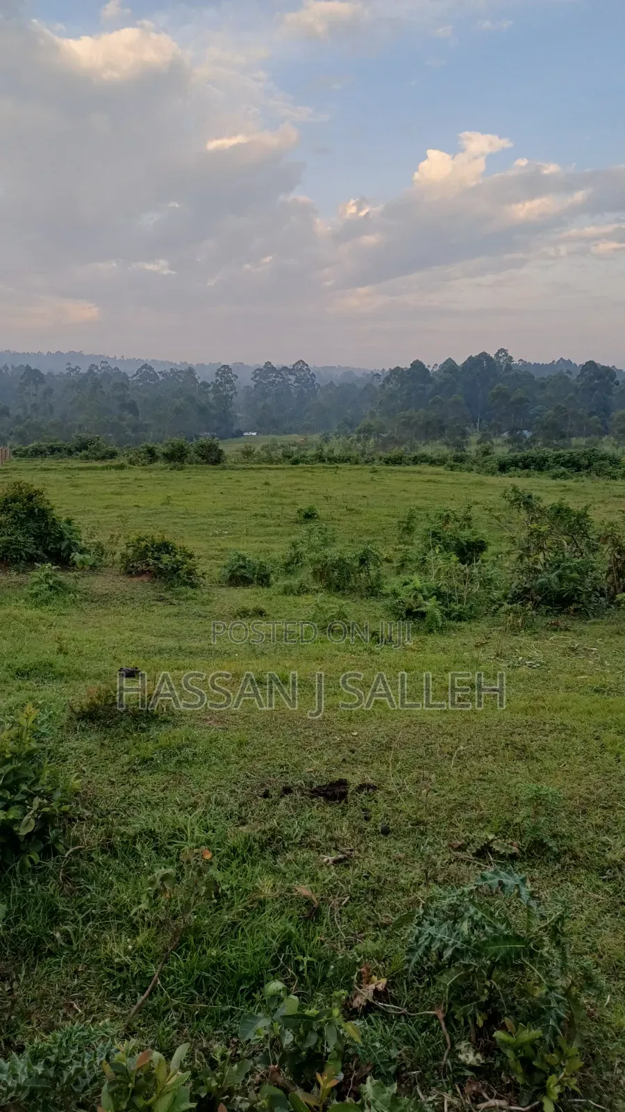 4 Acres Mukumu