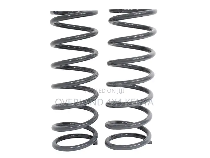 Terrafirma Coil Springs -Defender 90/110/130/Discovery 1/ RRC