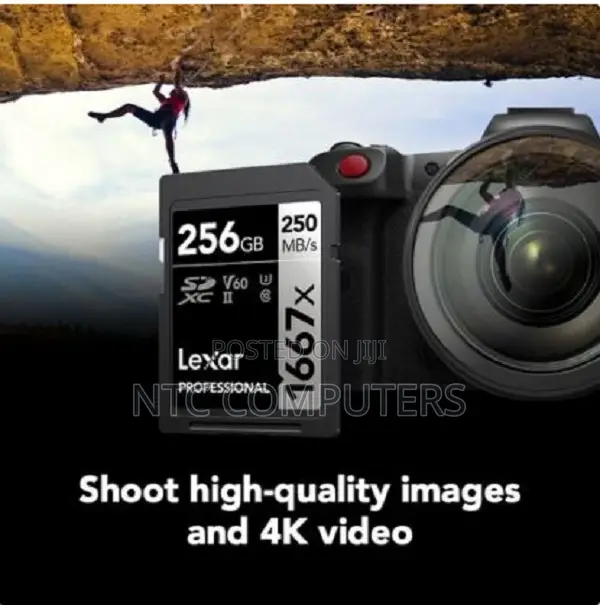 Lexar 256GB 250 MB/s Professional 1667x UHS-II SDXC Memory Card