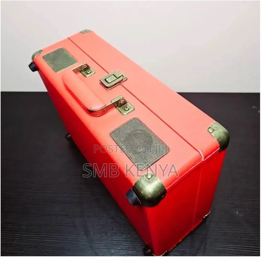 SWO1 Portable Karaoke Speaker With 2 Microphones