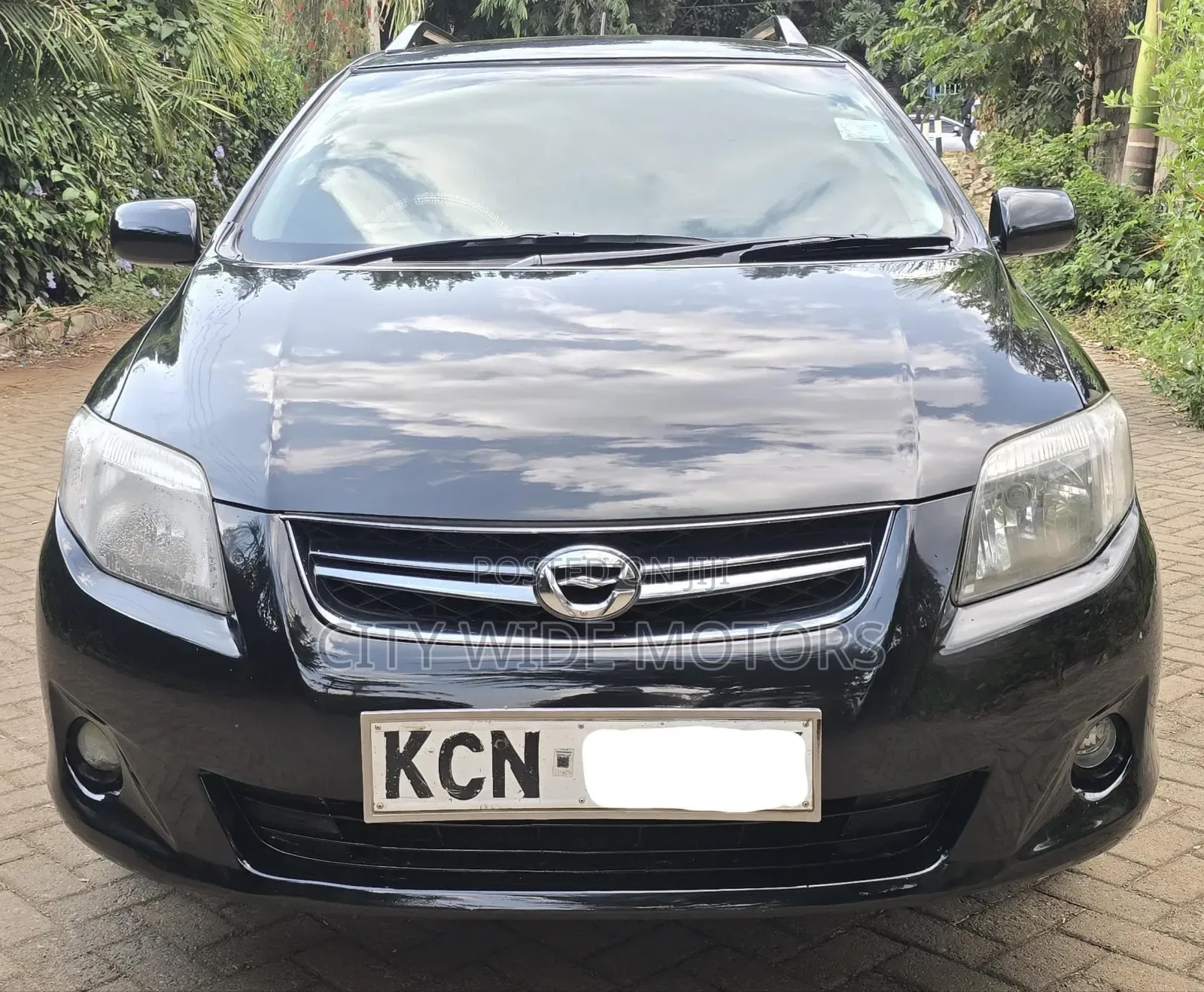 Toyota Corolla Fielder 2010 Black