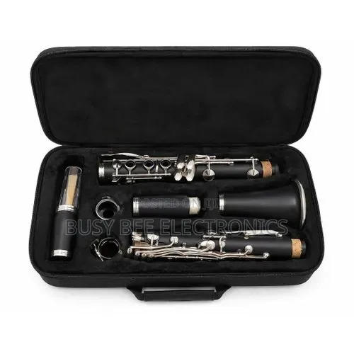 Professional Bb Clarinet With Hard Carry Case – Black