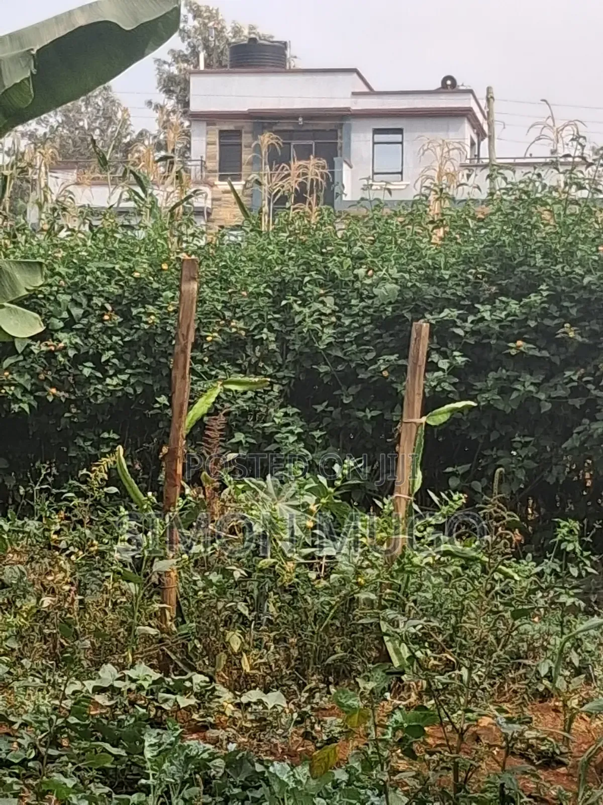 Kiamumbi Prime Residential 1/8 Plot on Pretoria Street Freehold Title