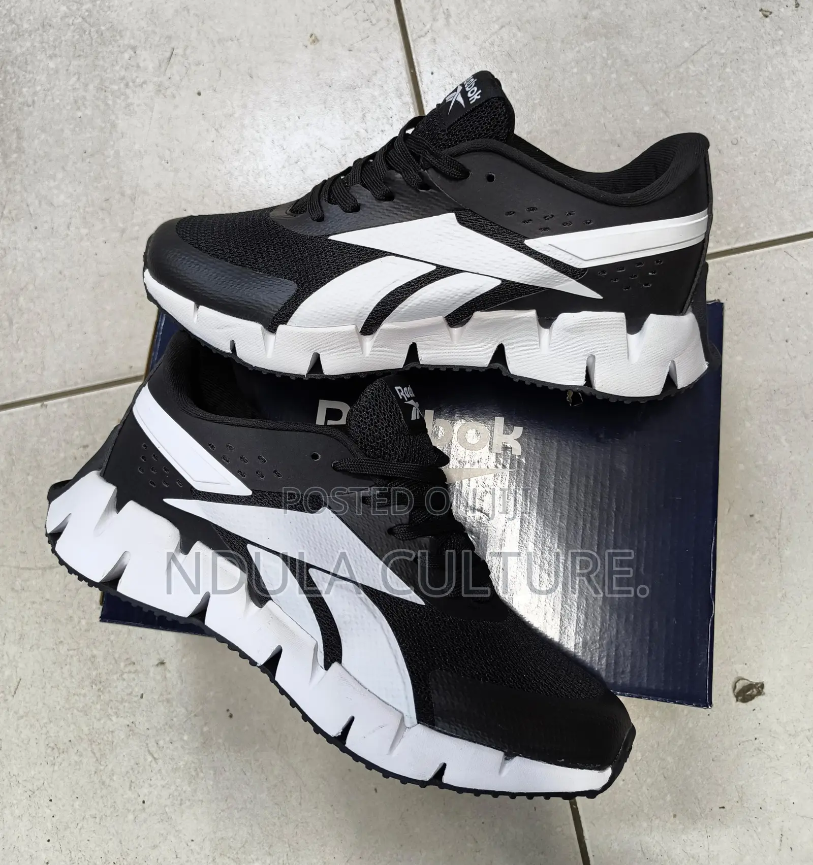 Reebok Zig Dynamica 2 Shoe Description