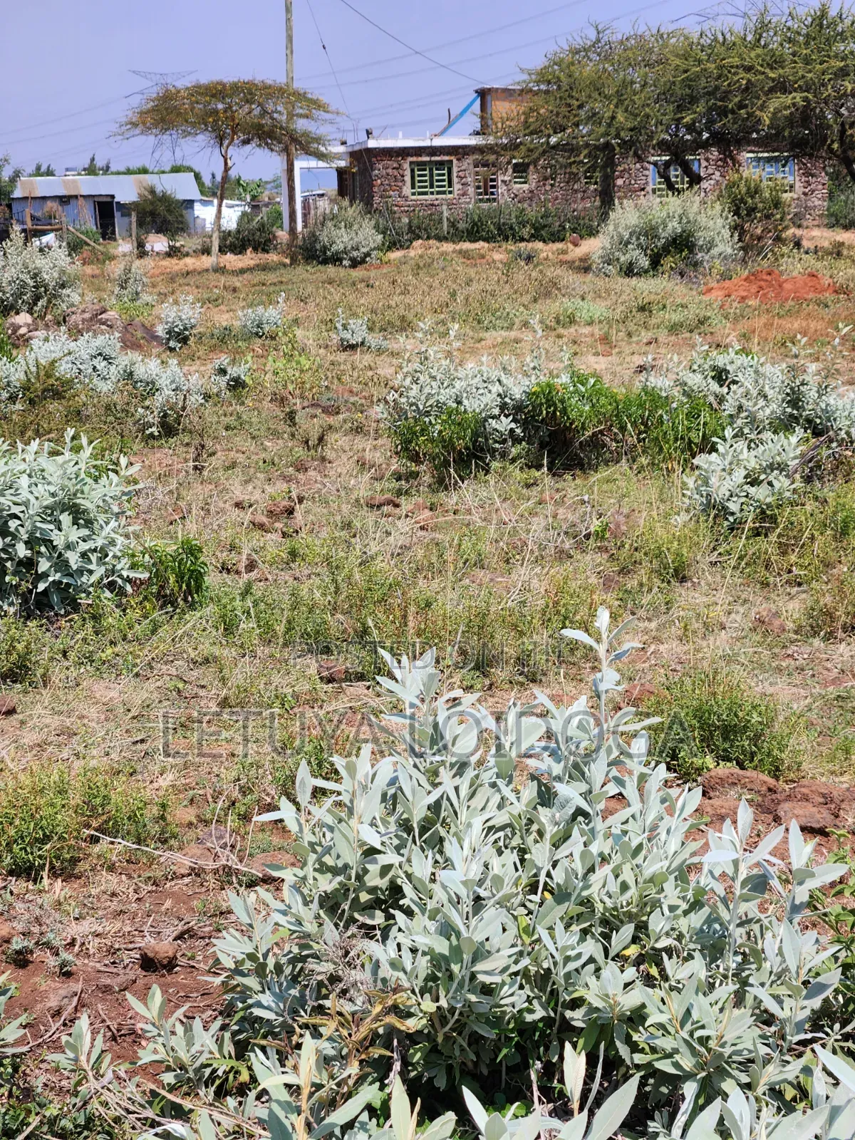 Ngong-Kimuka Town 1⁄8Acre Plots