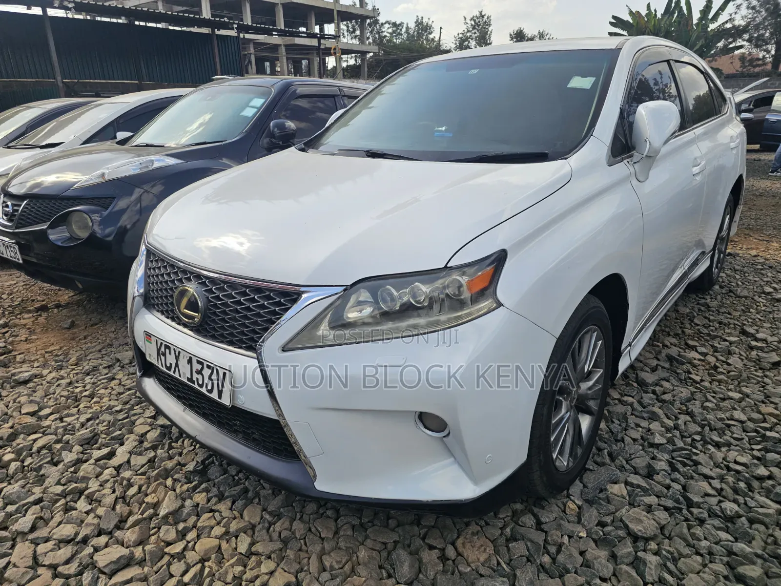 Lexus RX 2012 White