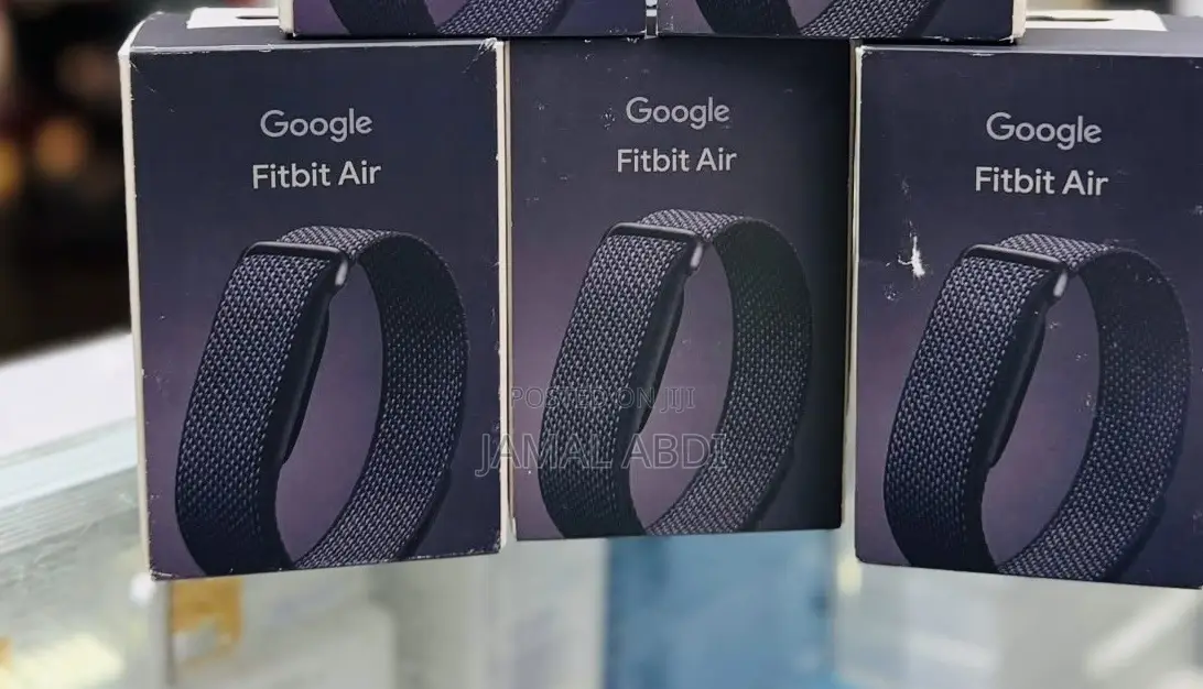 Google Fitbit Air