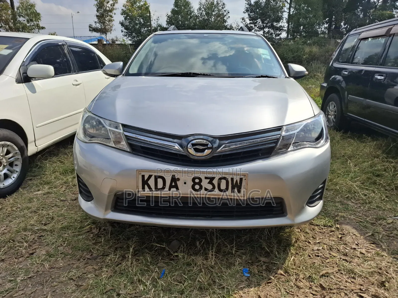 Toyota Corolla Fielder 2013 Silver