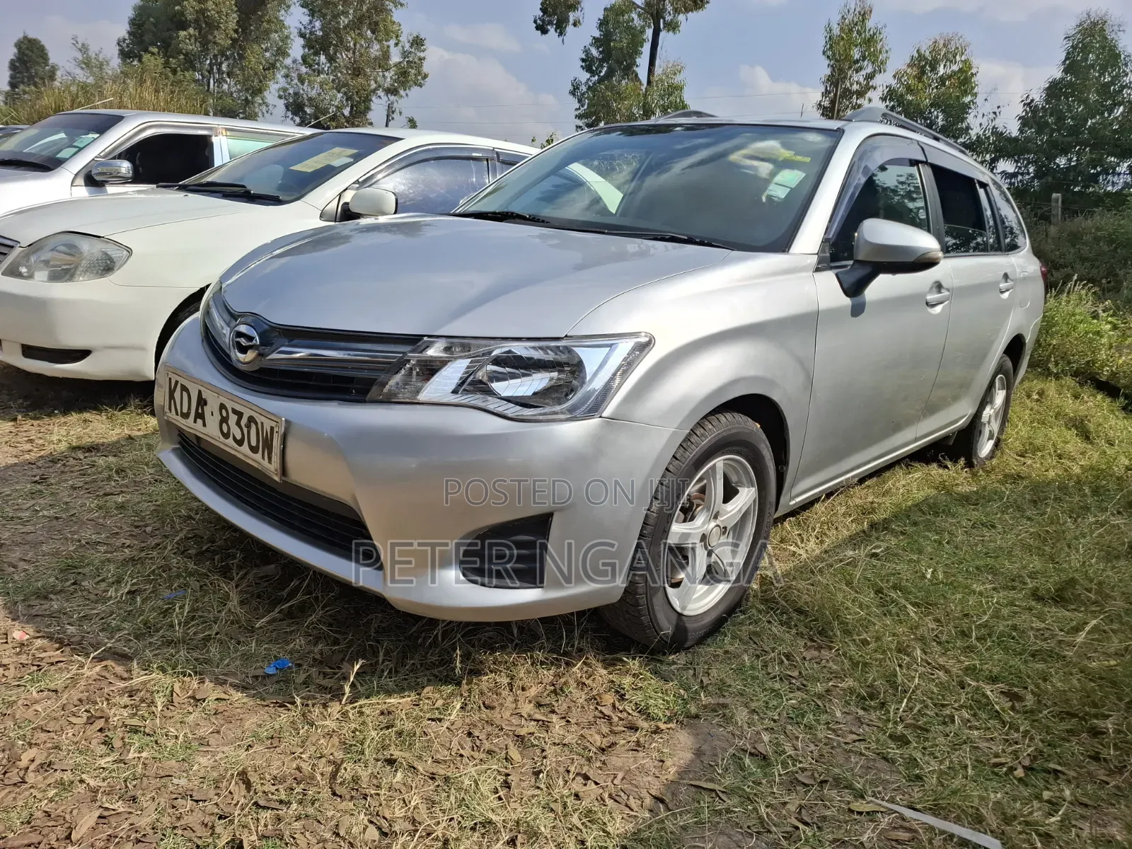 Toyota Corolla Fielder 2013 Silver