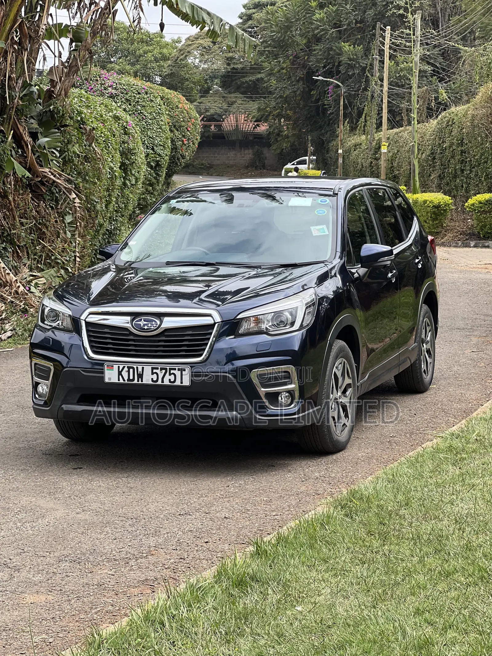 Subaru Forester 2019 White