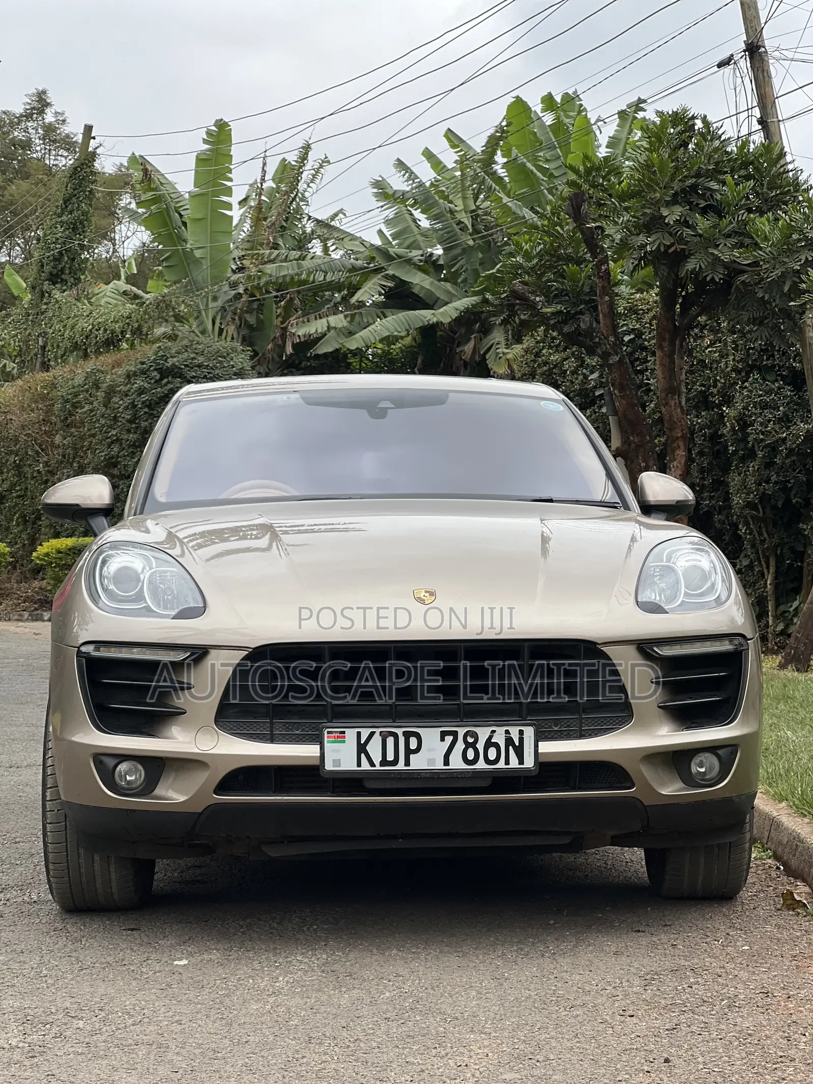 Porsche Macan Turbo 2017 Gold