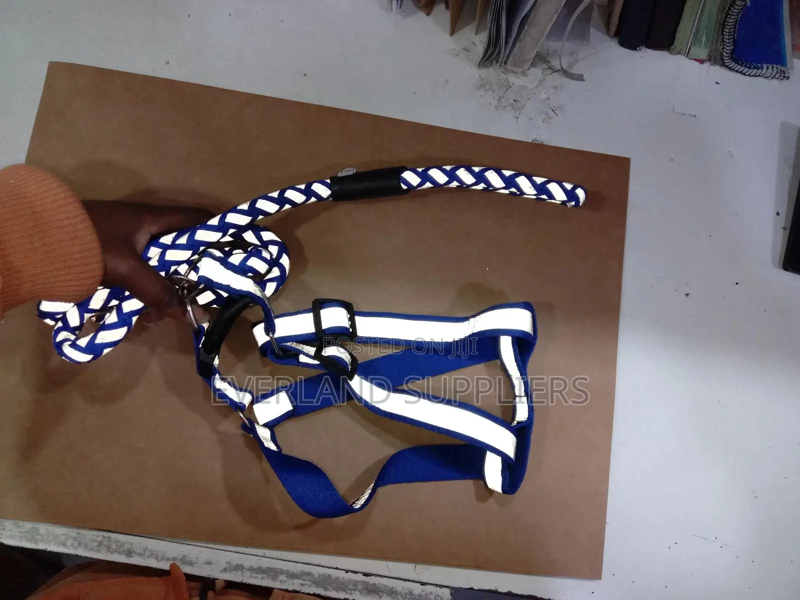 Durable Walking Harness Leash