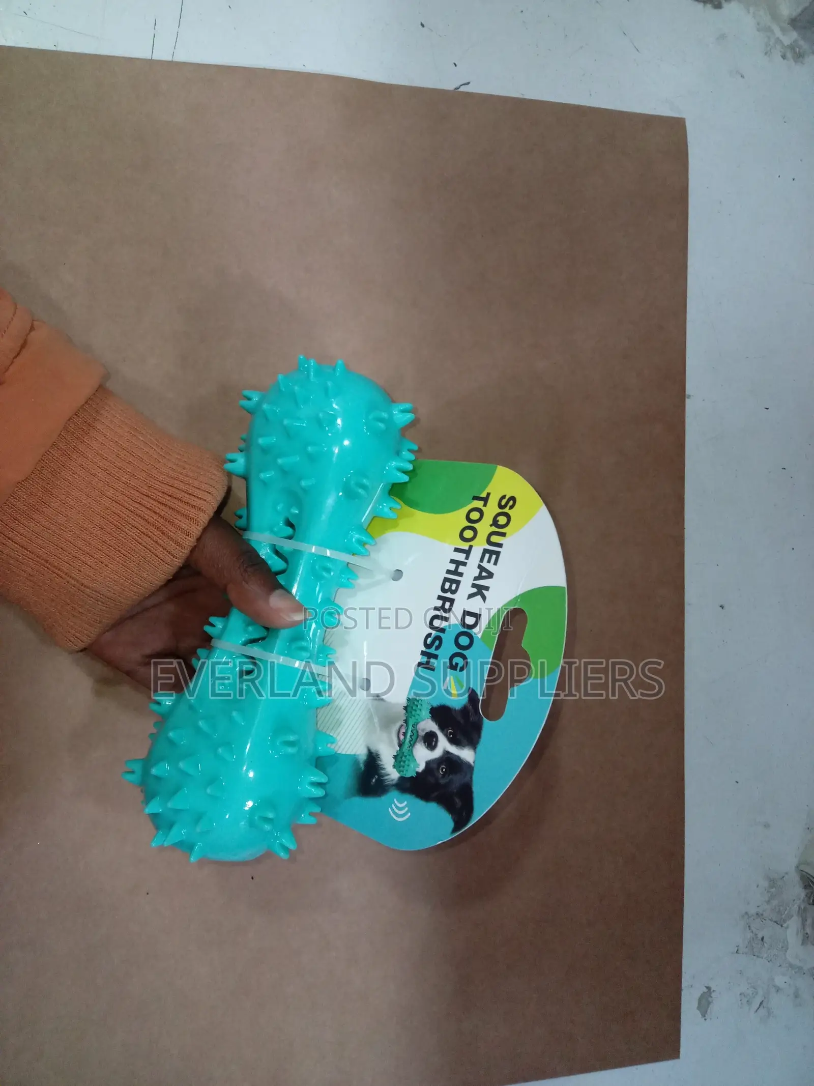 Teething Bone Shaped Like Dog Interactive Toy