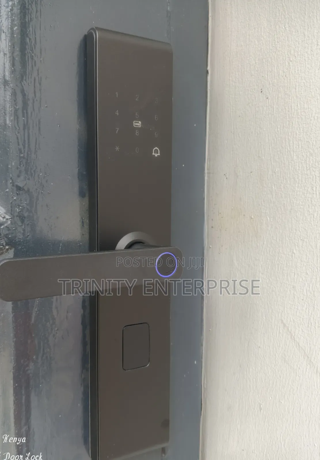Smart Lock Door TUYA WIFI Remote Unlock Fingerprint Card Password Key