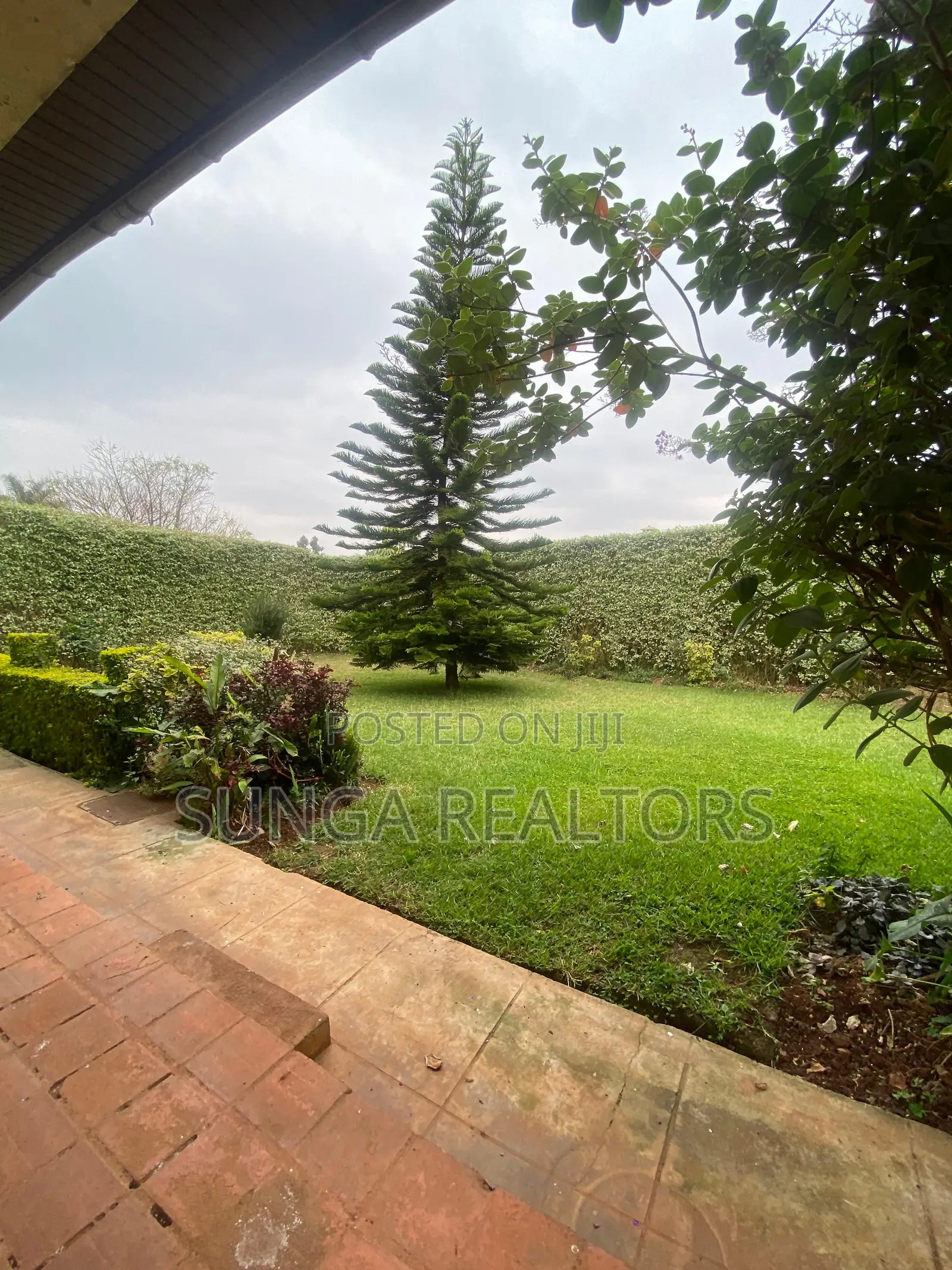 4bdrm House in Tigoni for rent