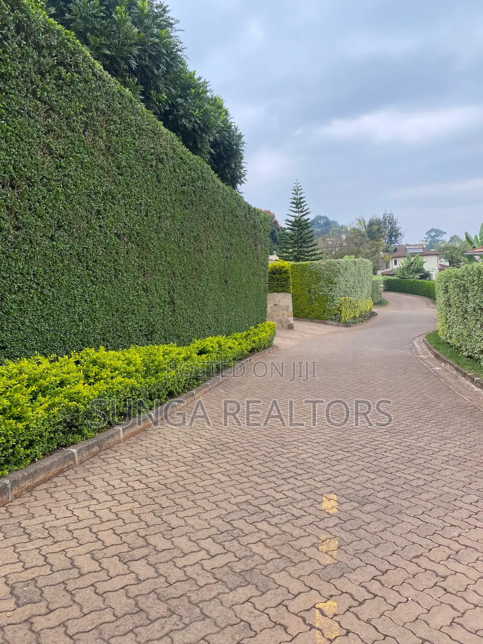 4bdrm House in Tigoni for rent