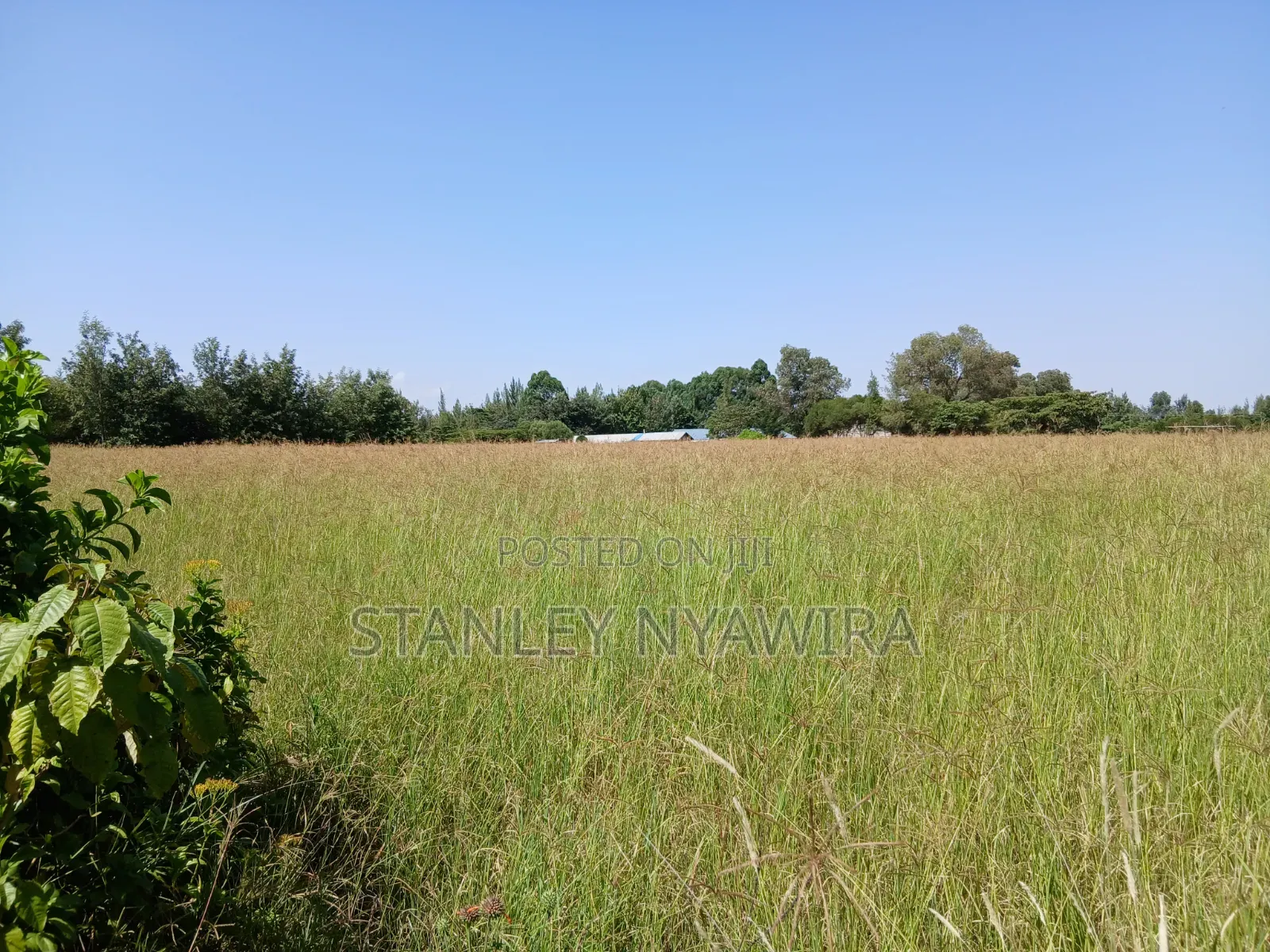 2 Acreas Behind Nanyuki Airstrip