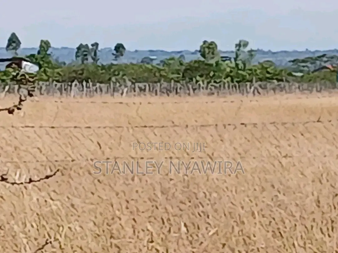 9 Acreas Nanyuki Burgret