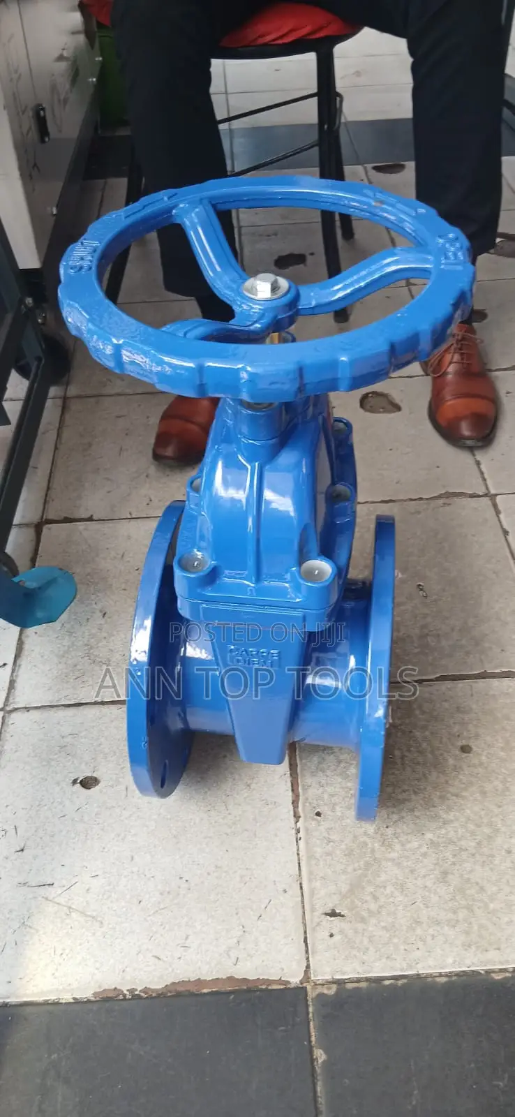 6 Inch Sluice Valve