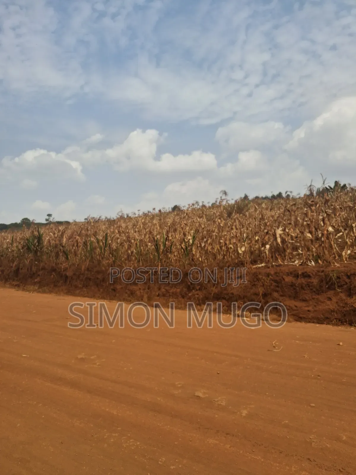 Kirigiti Ruiru Kiambu Road Prime 45 Acres