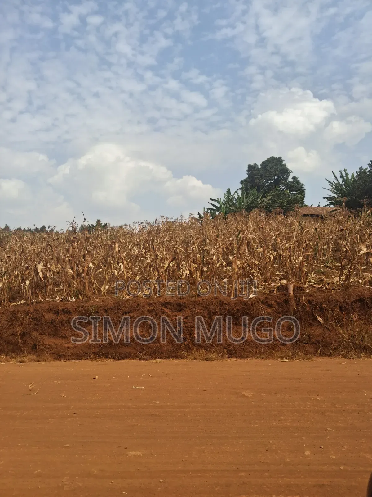 Kirigiti Ruiru Kiambu Road Prime 45 Acres