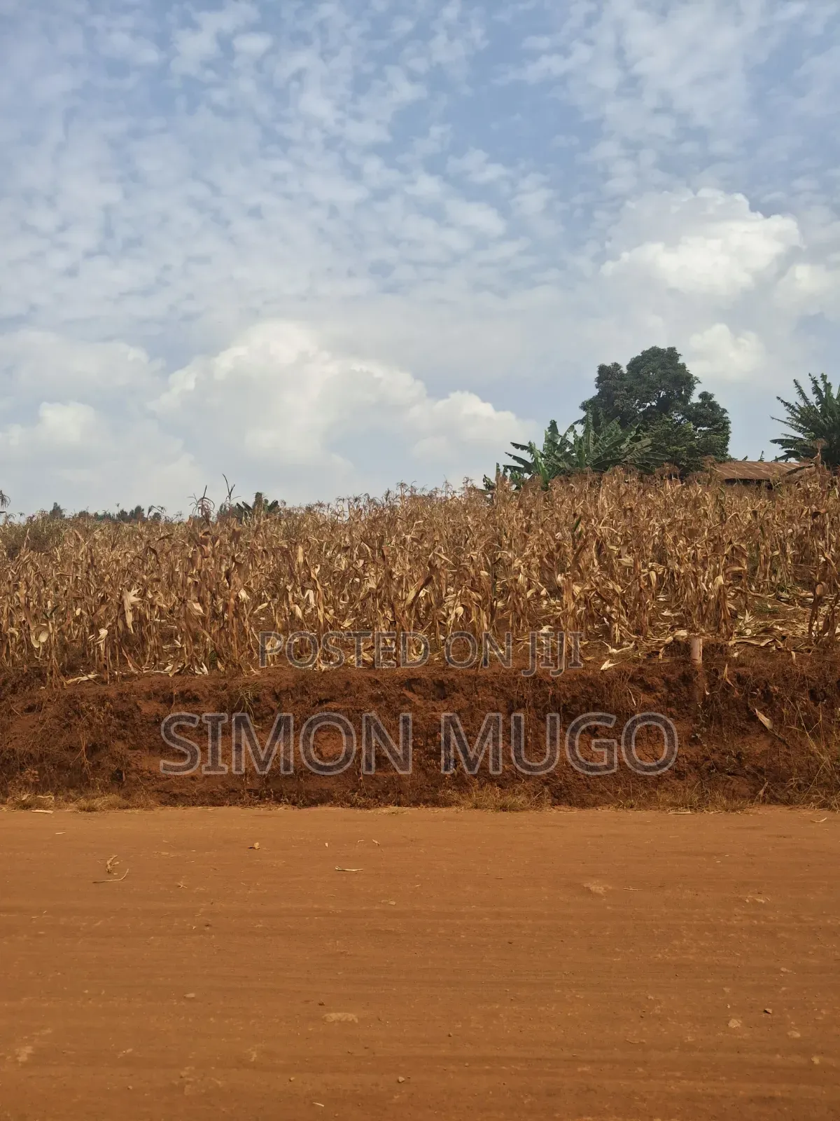 Kirigiti Ruiru Kiambu Road Prime 45 Acres