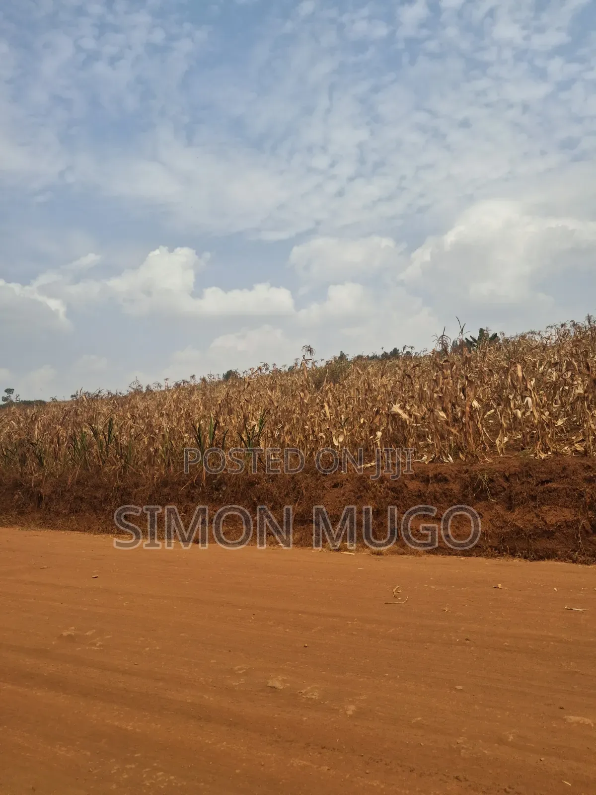 Kirigiti Ruiru Kiambu Road Prime 45 Acres