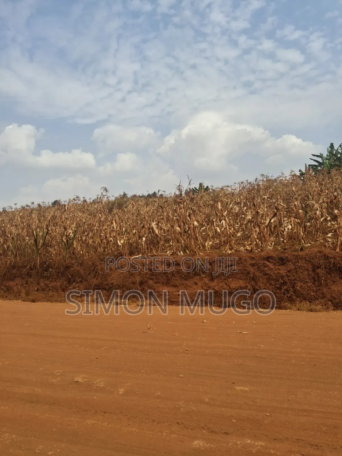 Kirigiti Ruiru Kiambu Road Prime 45 Acres