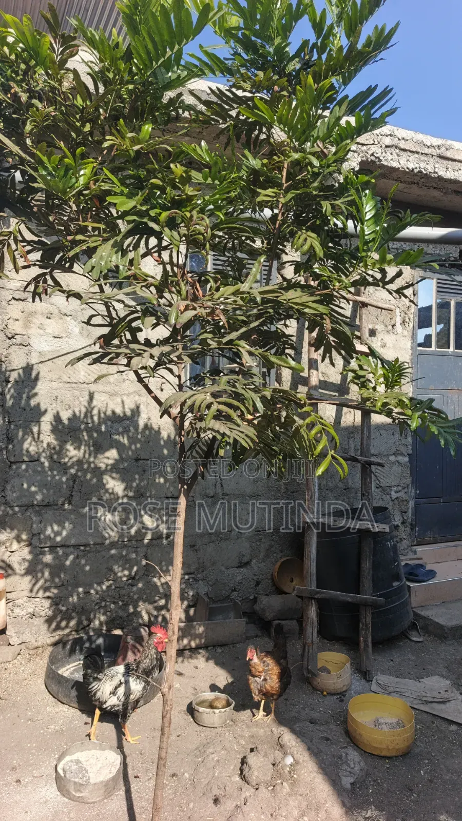 3bdrm Bungalow in Koma Hills Area for sale