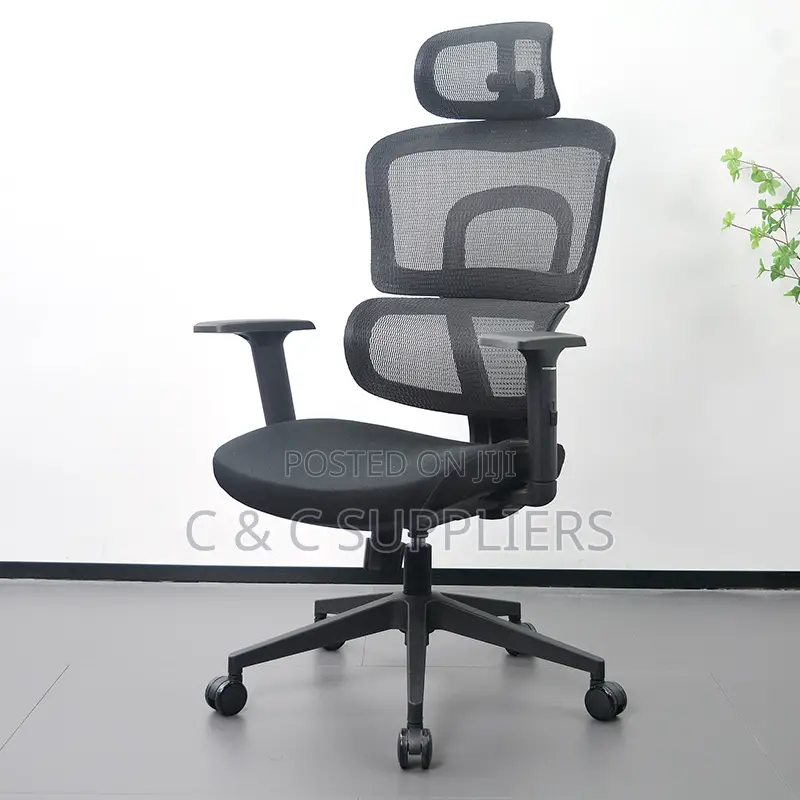 High Back Orthopedic Chair With Adjustable Arms