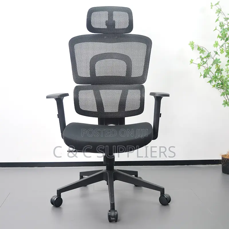 High Back Orthopedic Chair With Adjustable Arms