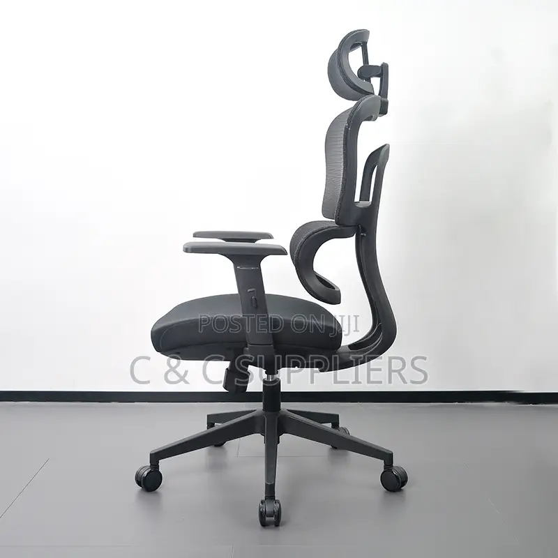 High Back Orthopedic Chair With Adjustable Arms