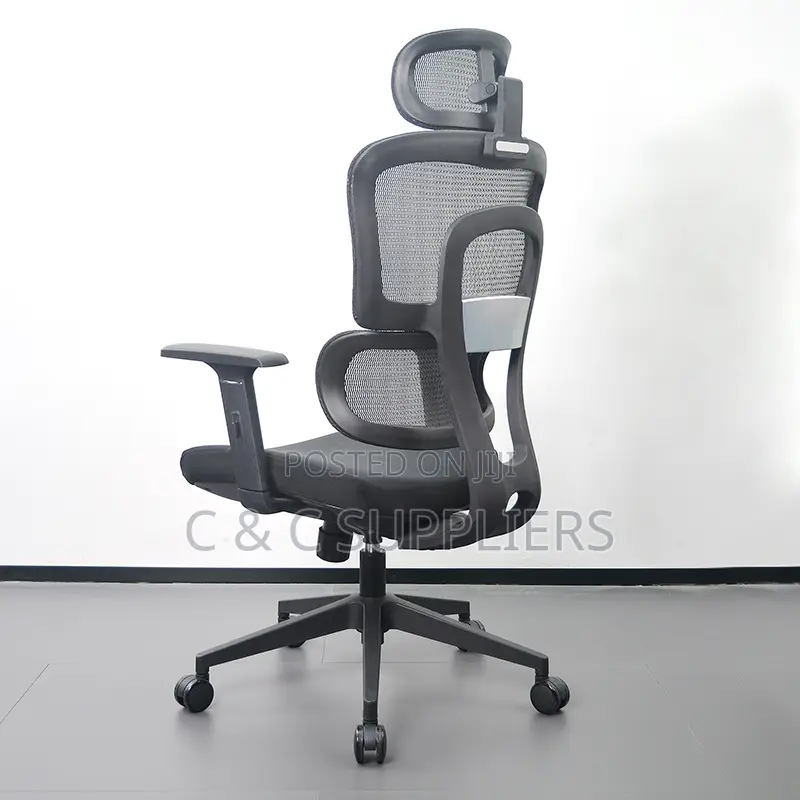High Back Orthopedic Chair With Adjustable Arms