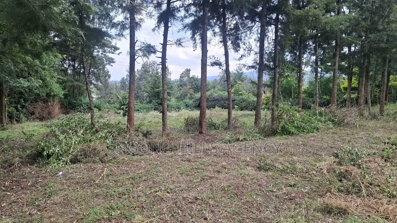 Prime 100 X 100 Plot for Sale: Olkeri