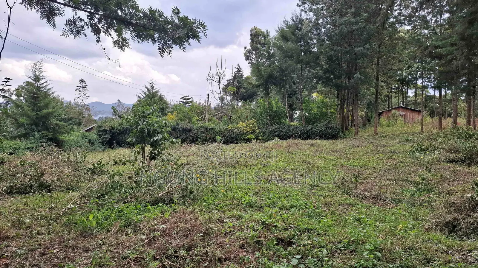 Prime 100 X 100 Plot for Sale: Olkeri