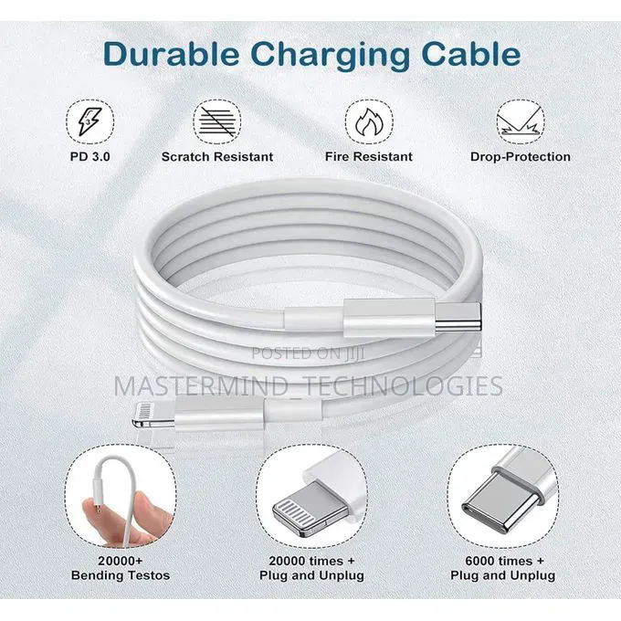 iPhone Charger