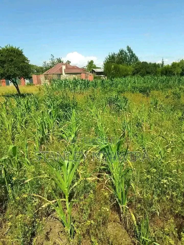 3.5 Acrea Nanyuki Mirere