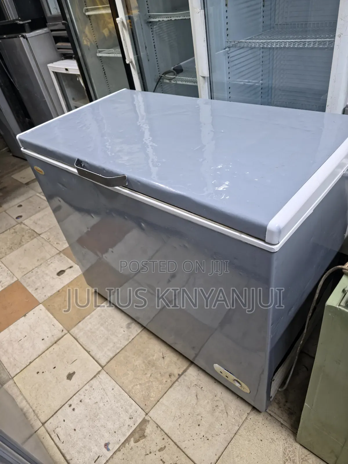 Closed Freezer 320L