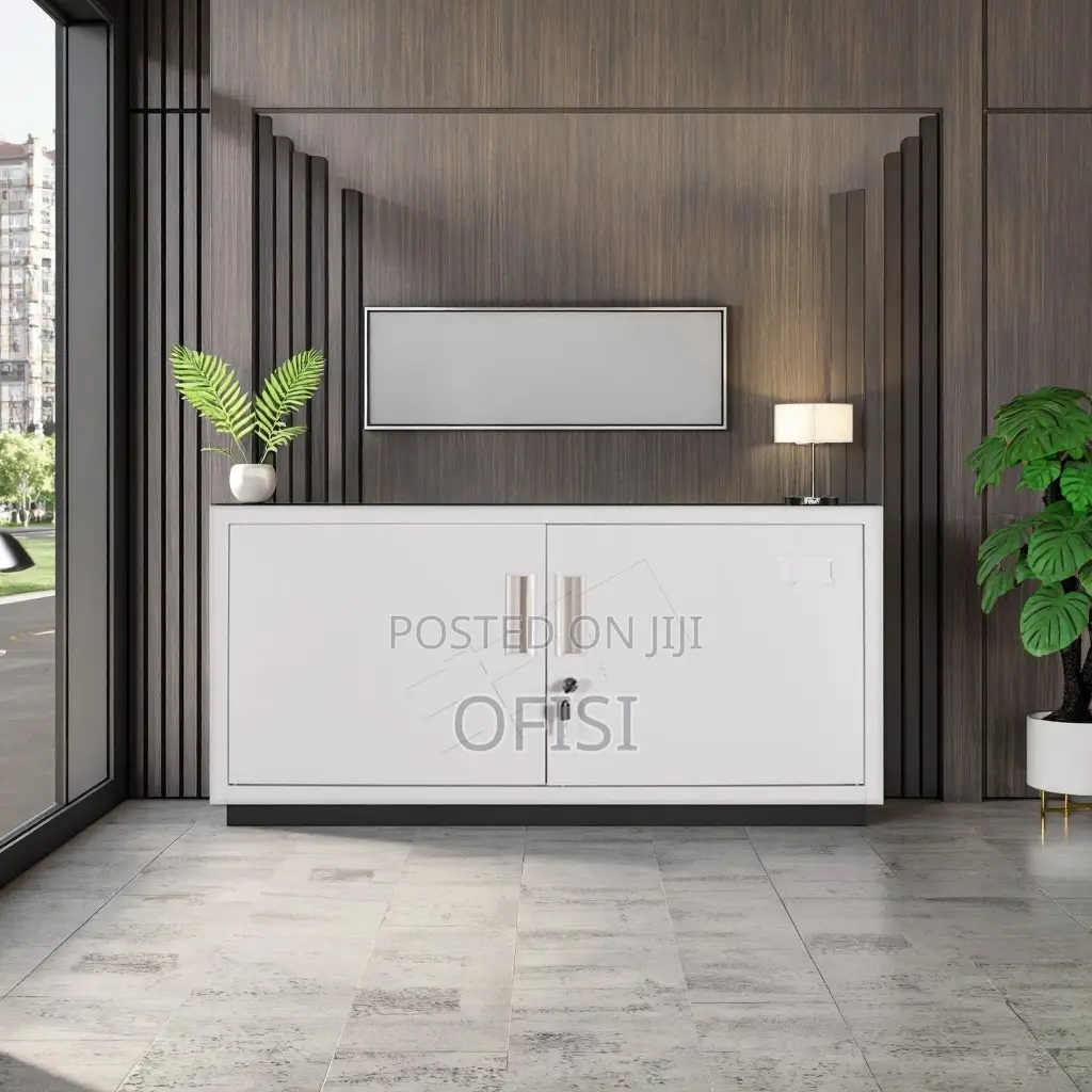 Office Cabinet; 2 Locker Metallic Office Storage Cabinet