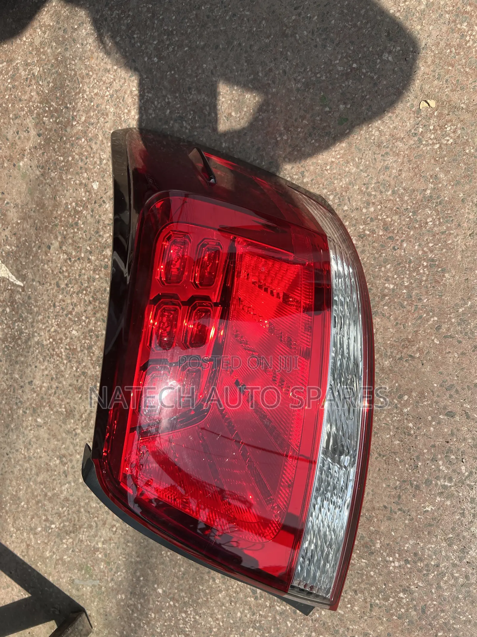 Premio 2018 (270) Tailight