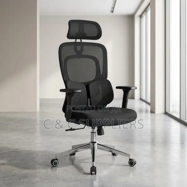 Modern Orthopedic Chair With Lumber Support