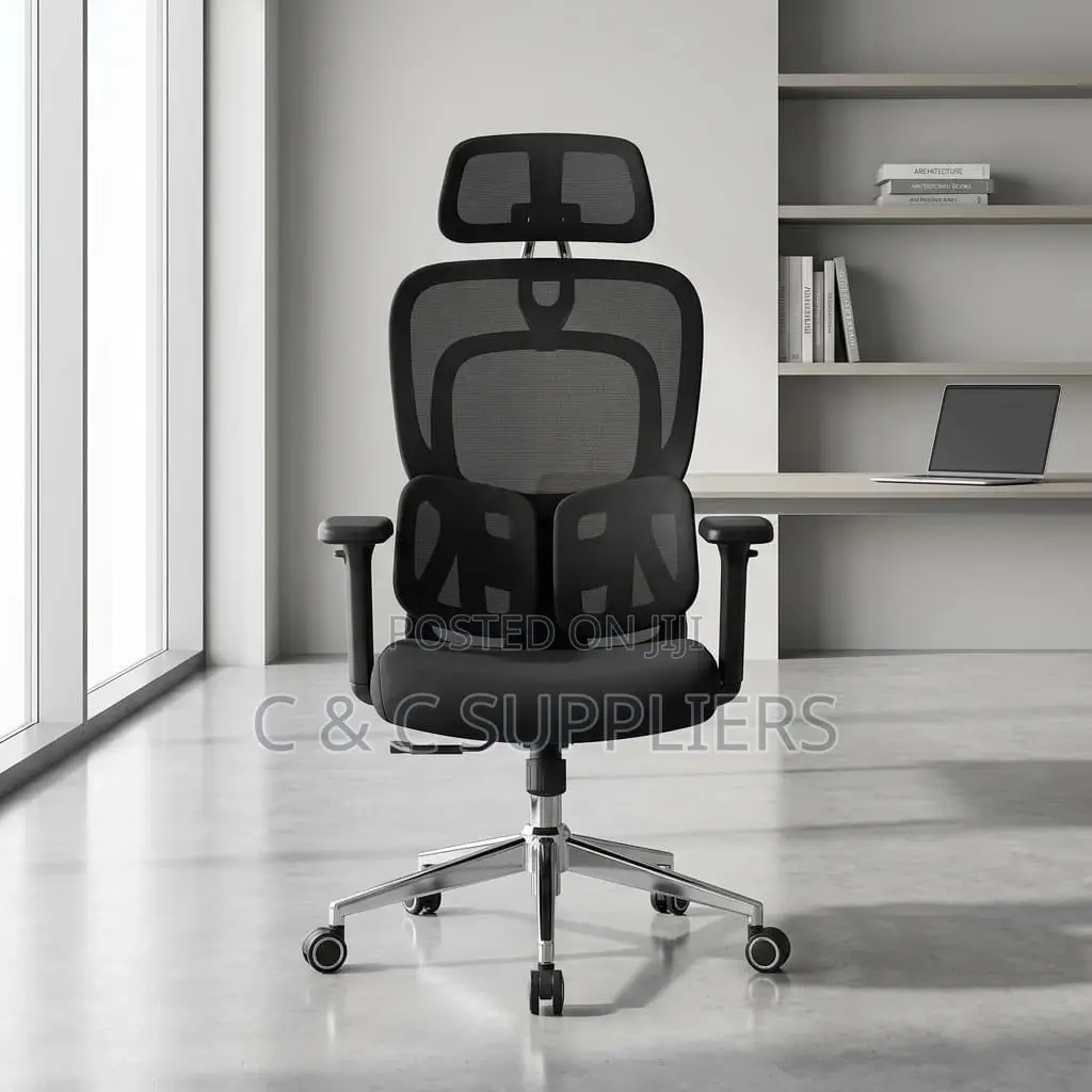 Modern Orthopedic Chair With Lumber Support
