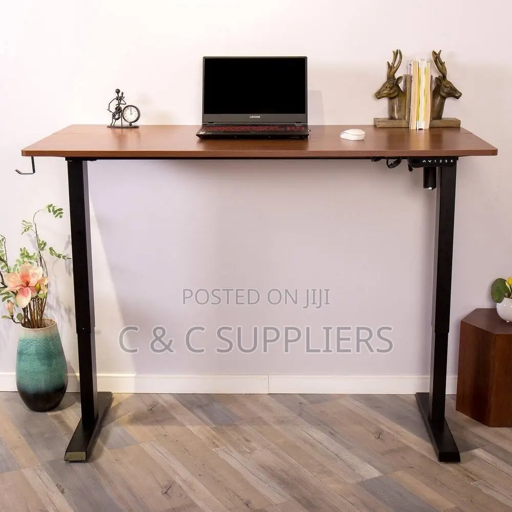 Ergonomic Electric Adjustable Workstation Desk - 1200mm