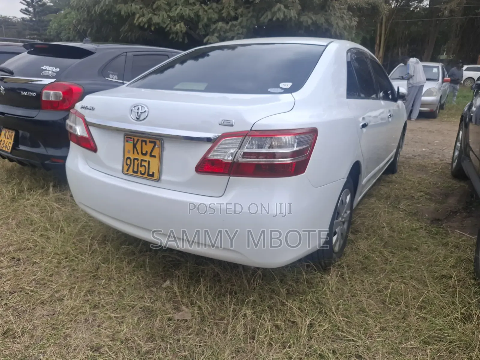 Toyota Premio 2013 White