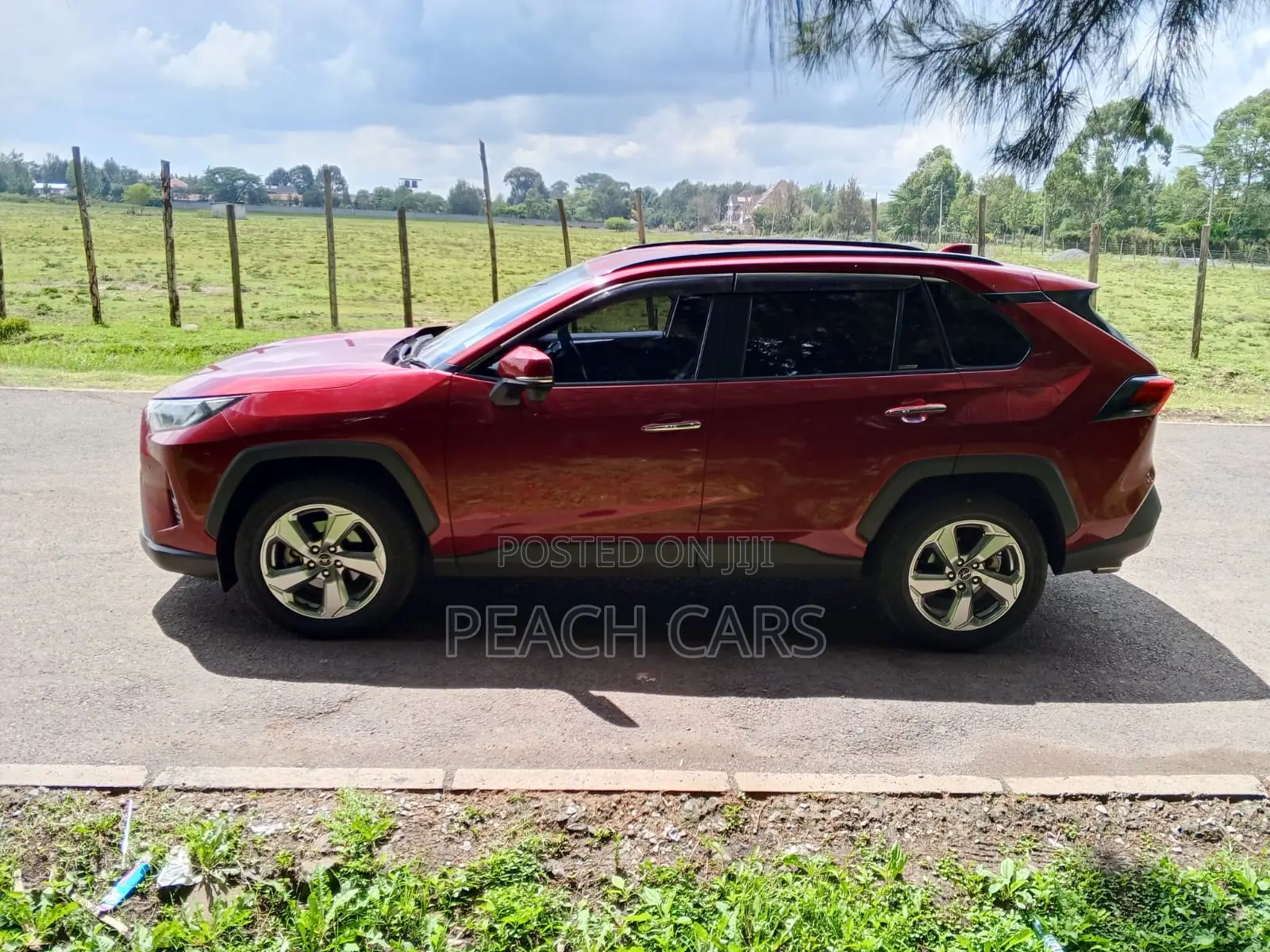 Toyota RAV4 2019 Red